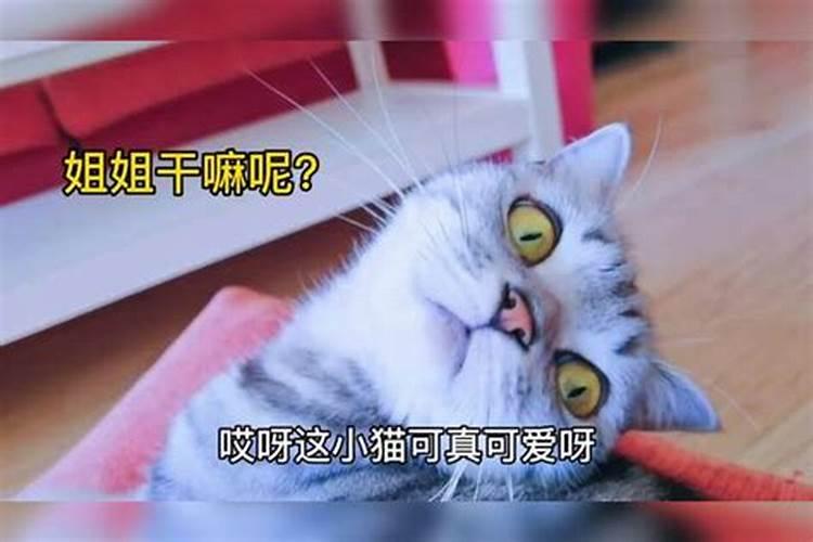 化太岁锦囊如何使用？