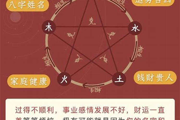 龙和猪的属相合不合