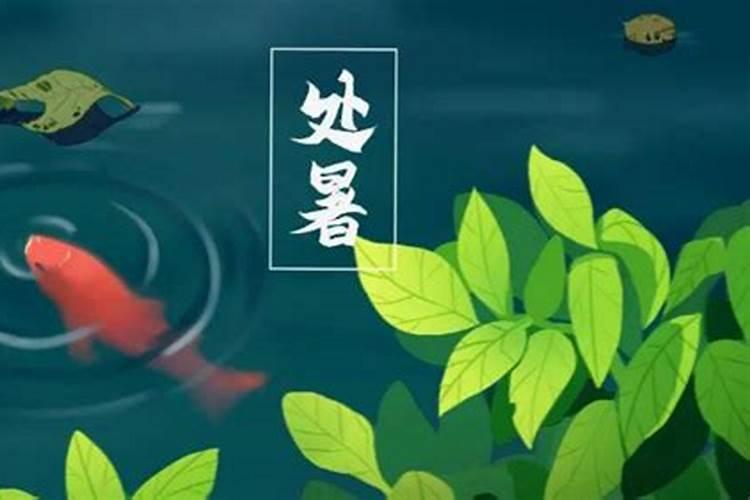 82年是什么星座