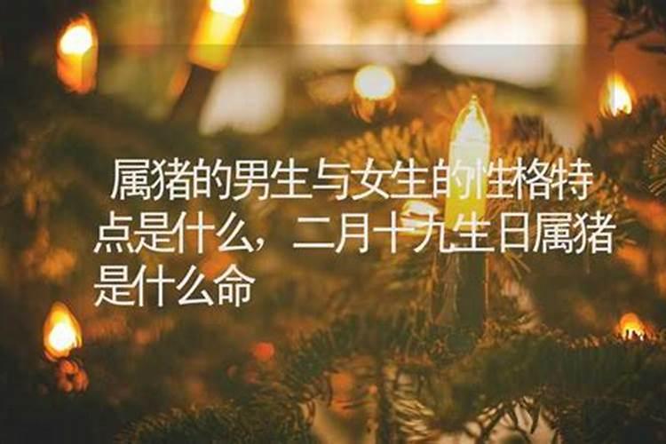 1983年二月二十(阴历)是什么命？