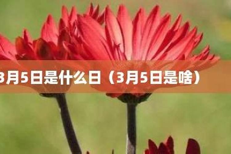 梦见别人抬棺材出殡是什么预兆