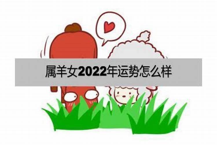 属羊女今日运势如何