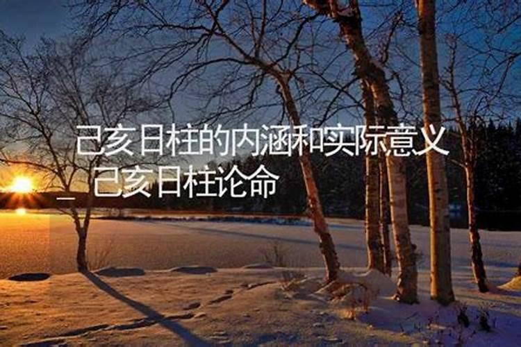 己亥日柱