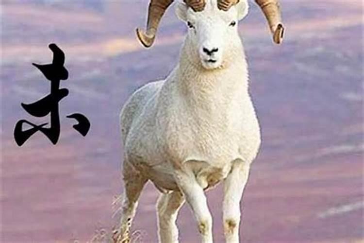 生肖羊2025年运势 属羊2025年运势及运程