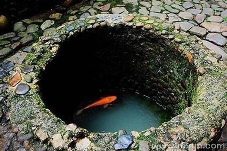 2025年属什么犯太岁