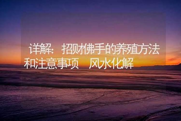 婚姻生肖配对百科对于生肖的男女配对非常准确
