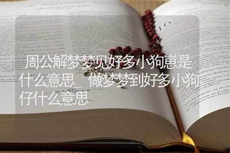 79年属羊男在2025年的全年运势