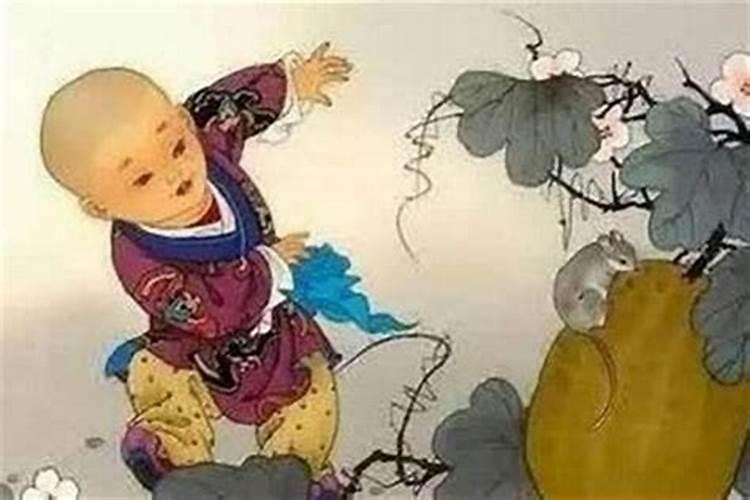 84年的鼠在2025年属鼠人全年运势