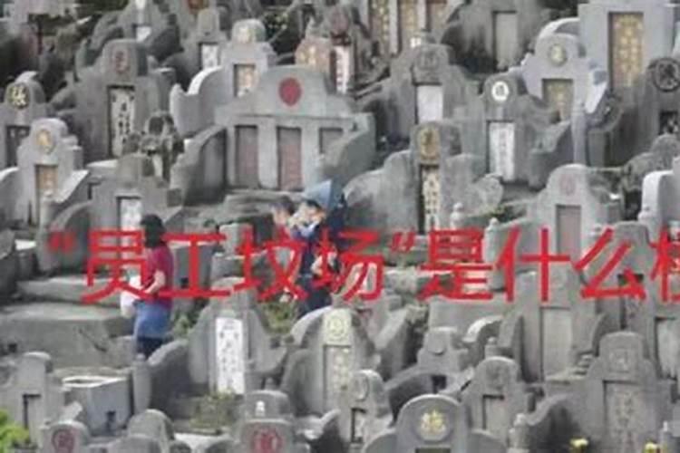 屋顶上种花有哪些风水禁忌