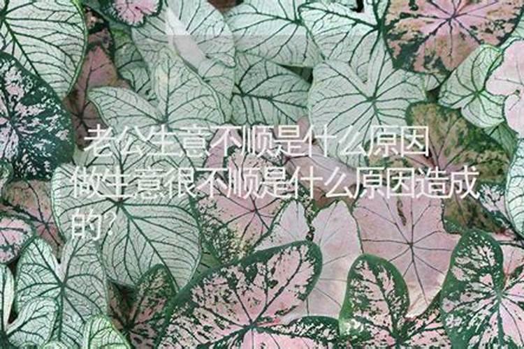 生意运气不好怎么转运