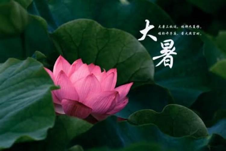 什么是童子？