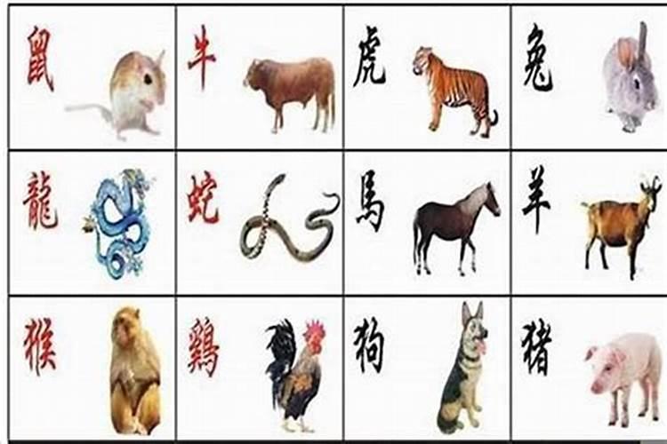 虎宝宝起名(虎宝宝起名字女孩)