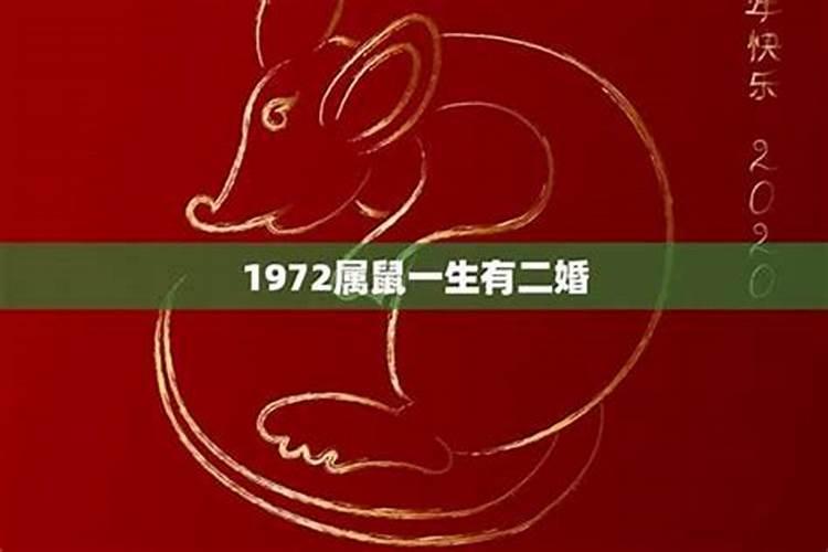 何猷君和奚梦瑶属相是六冲吗