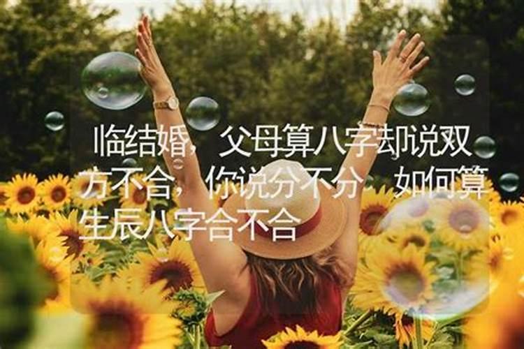八月十五生的女孩子是什么命