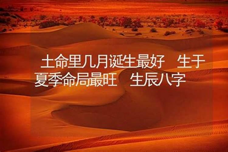 本命年从初一算还是立春算