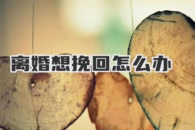 87兔男和93鸡女有结婚可能吗兔和鸡相配吗