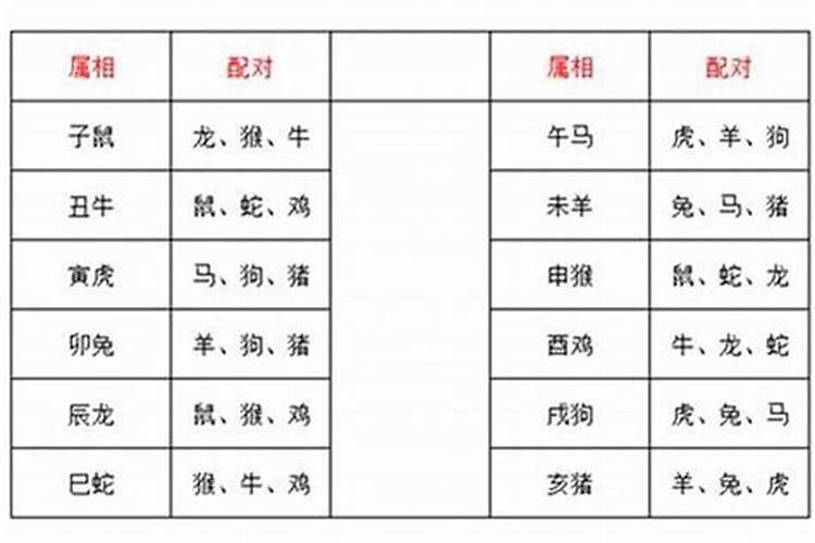男属蛇和女属猪能过一辈子 生活需要很努力？