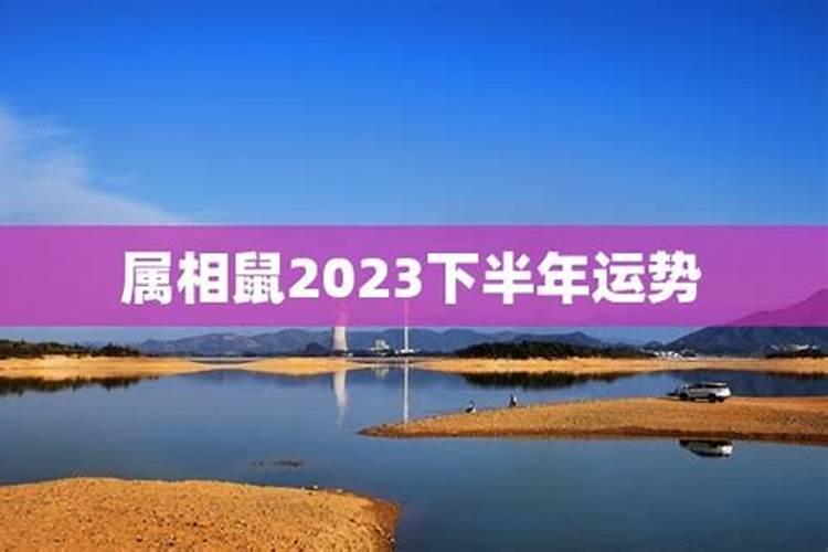 下半年能给属鼠带来好运的贵人属相