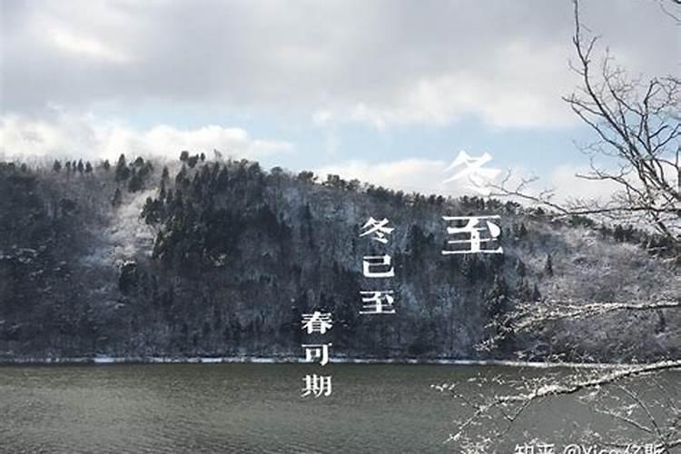 梦见打官司预示着什么,是什么预兆？