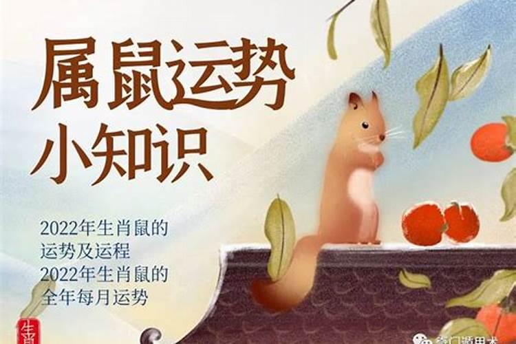 当小人遇到小人,相互得罪时会发生什么？