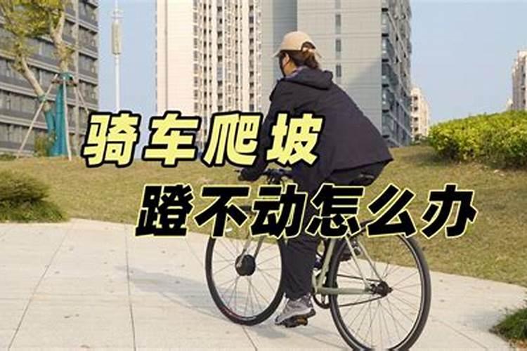 女人梦到牛死了预示着什么