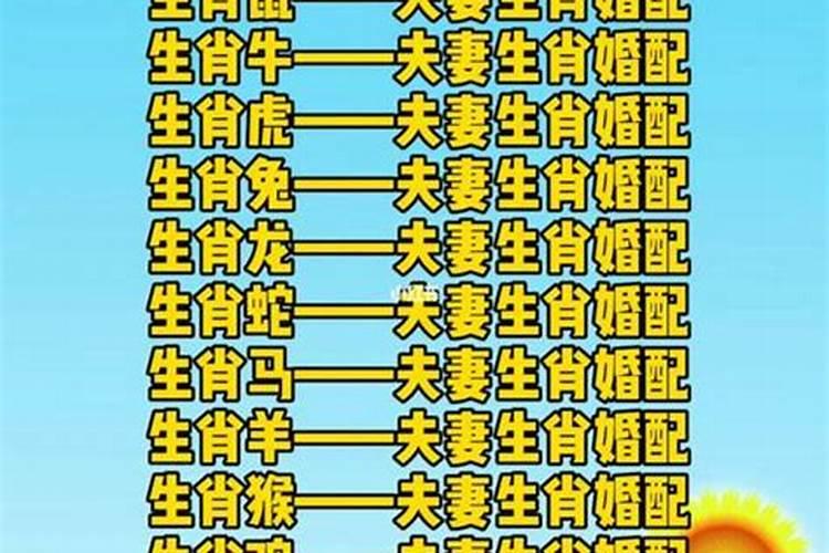 十二生肖属相犯太岁的年份,鼠年犯太岁的四个属相