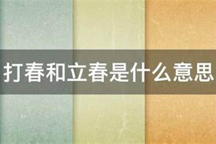 2025年生肖龙运势详解