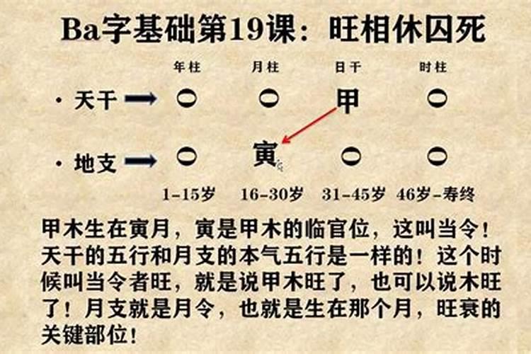 谁能帮我用白话解释一下