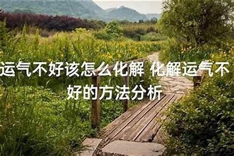 南馆陶东宝庙会什么时候