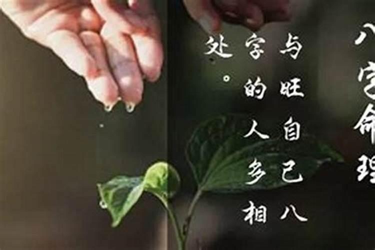 十二生肖立夏如何调运