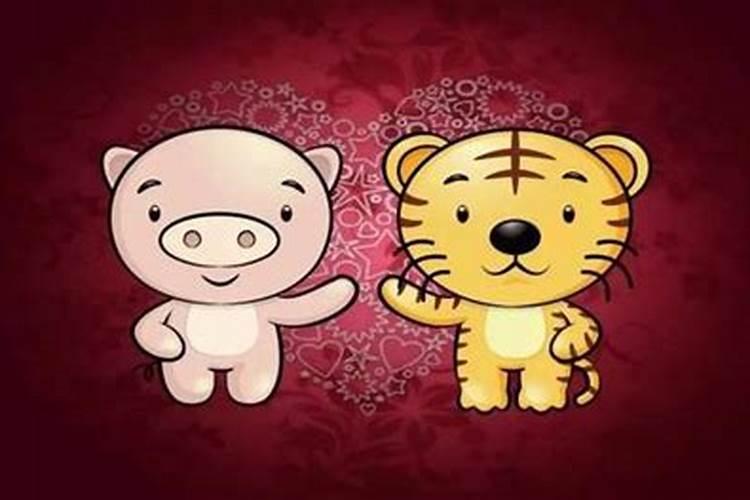 属虎男与属猪女的合不合