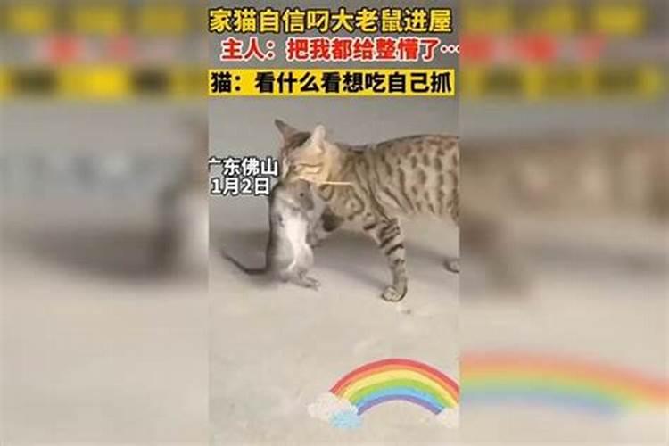 如果你经常梦到一个人,那个人会梦到你吗？