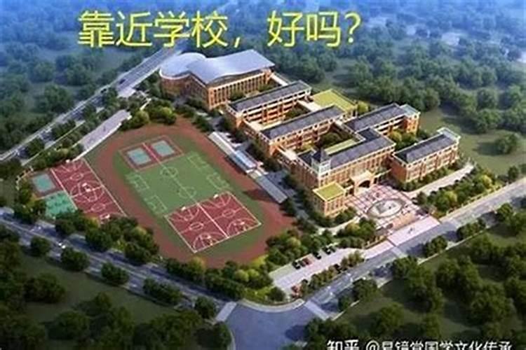 师傅,看一下乙亥大运和甲戌大运好吗？