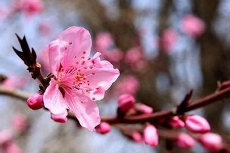 今年冬令补明年可打虎,冬至养生四大注意事项