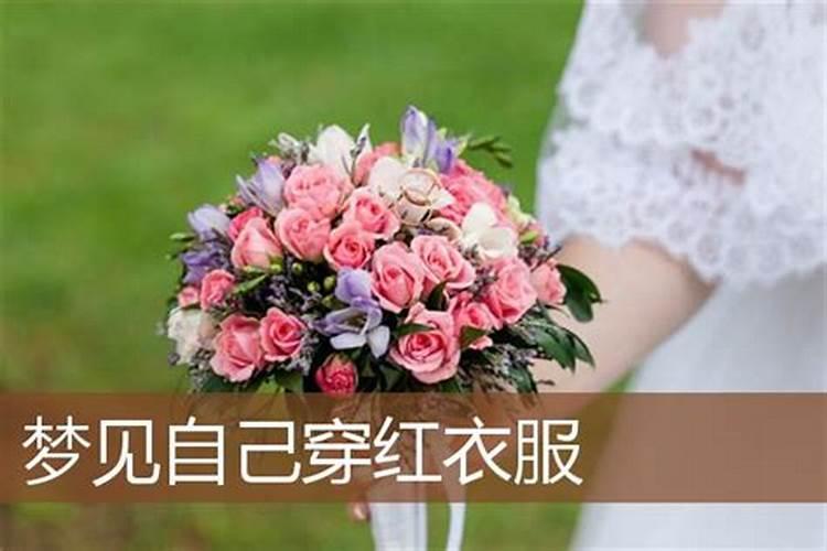 属狗女最佳婚配属相