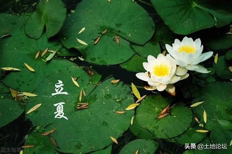 2021年四月生肖蛇男运势不顺怎么化解？