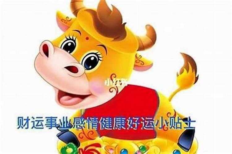 南宁哪里可以超度