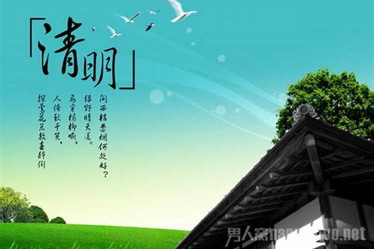 清明节有哪些传统xi俗