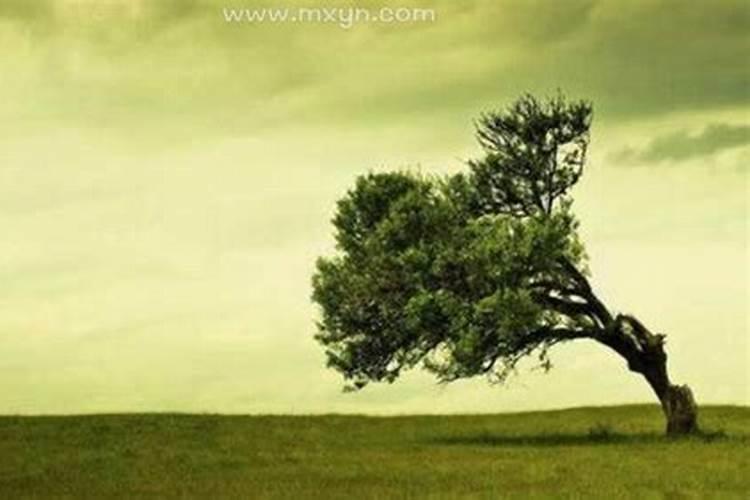 潮汕人拜神唱戏是什么意思