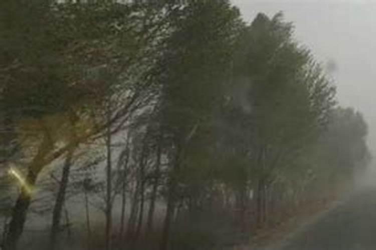 怀孕梦见下雨了是什么意思