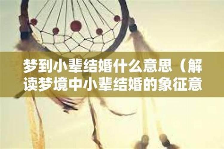 梦见小老鼠是什么征兆