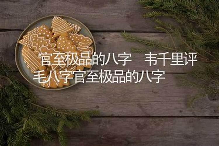 今天去算命算命大师说我以后有官运,是什么意思？