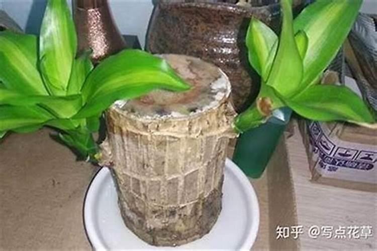 遇到坏人时该怎么办