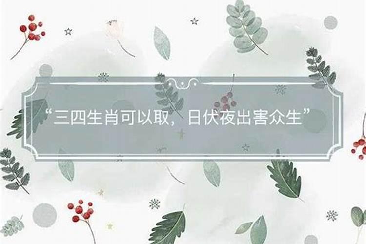 日是什么肖