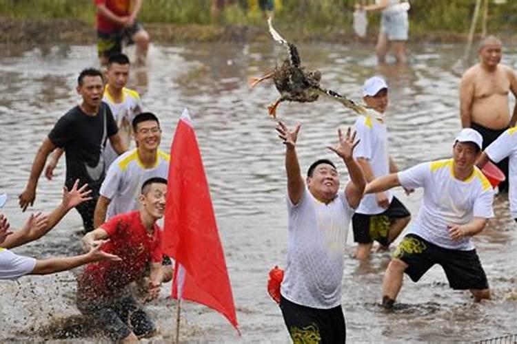 跟老公属相不合怎么办