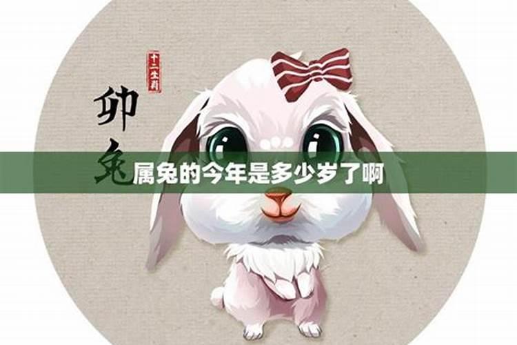 1987年属兔女2025年运势及运程