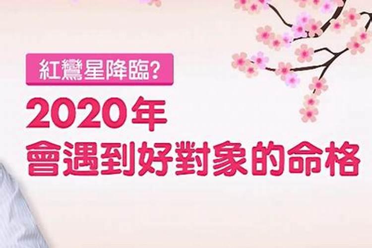 2025年鼠人的全年运势如何