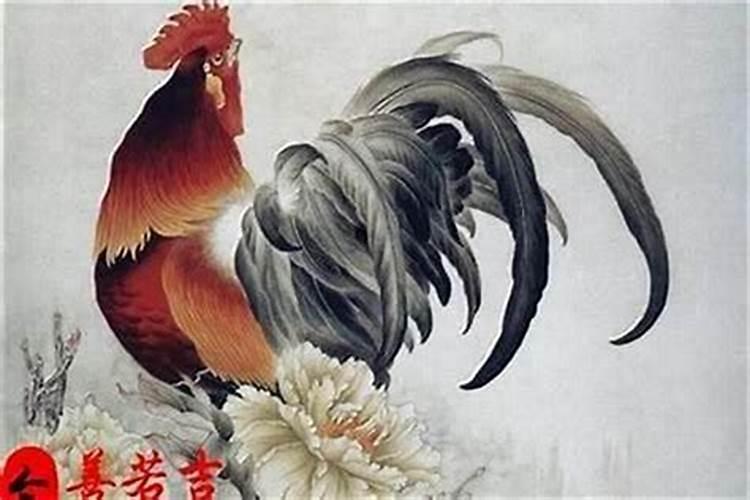 属鸡今年运势2025年每月运势