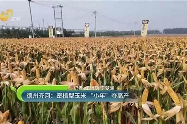 老鼠咬衣服有什么不好征兆吗