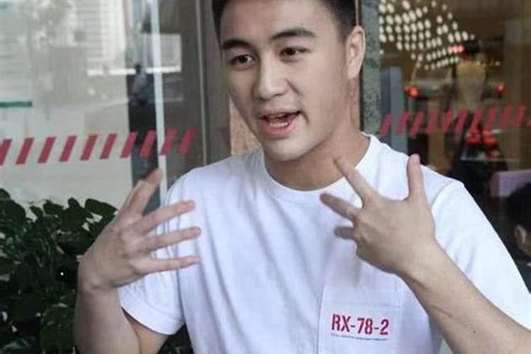 赌王何鸿燊风光大葬之后,为何说何家万丈基业或将崩塌？